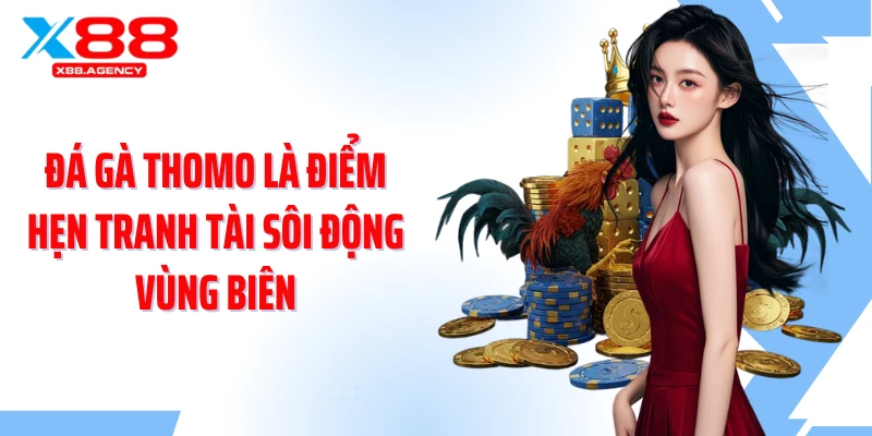 Đá gà Thomo là điểm hẹn tranh tài sôi động vùng biên