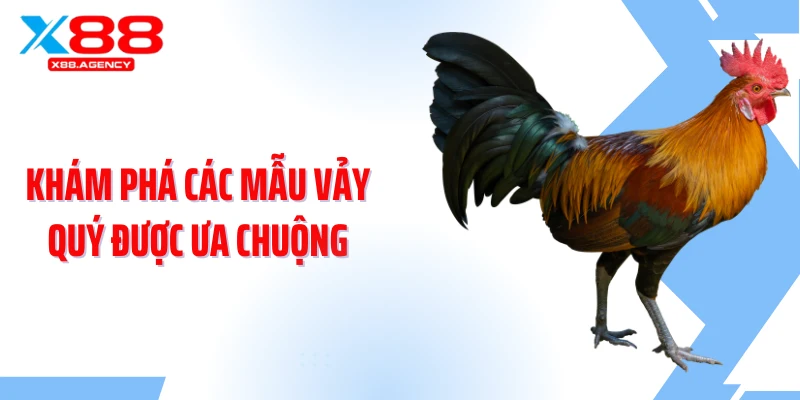 Khám phá các mẫu vảy quý được ưa chuộng